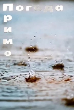 ������ �������� (���������� �����), 01.04.2026