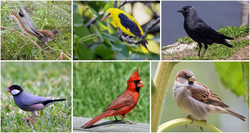 1 ������ � ������������� ���� ����