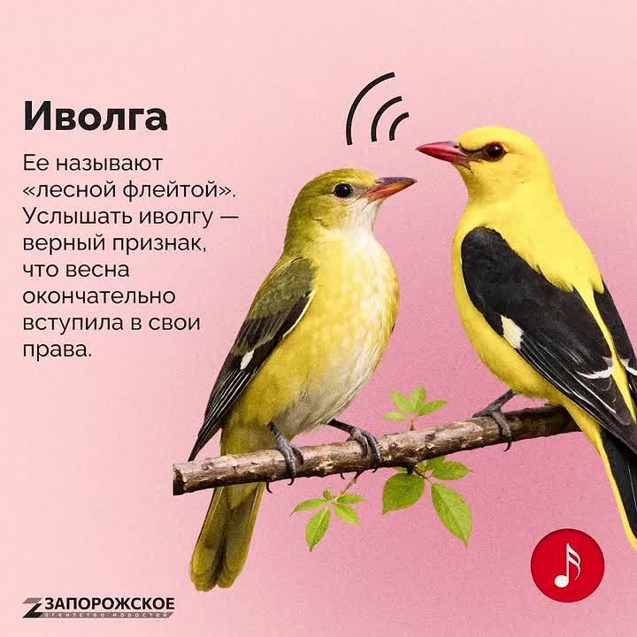 ����� ���������� � ������� ������ �� ����� � ������� ����������� ����! ��� �������� ������ ���� ������ � ��� � ����� ������� ����. ���-�� ������ �������� � ������� � ���� ����, ���-�� ��� ����� ������������ ������. ����� ��...