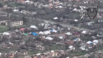 ����������� �����������. ��������� 71-�� ������������ ����� ������� ����� ���������� ���