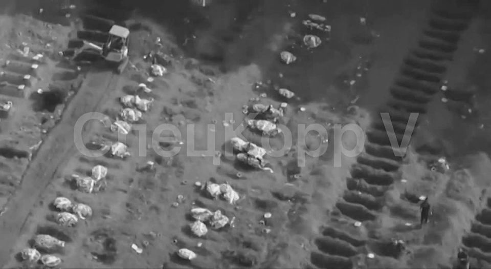 ��� ����������� ������������ �������� �������� ��������� � ���������������