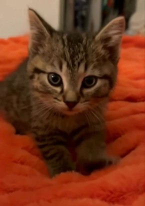 � ��� � �����. ����������� � ������ � ������� �����