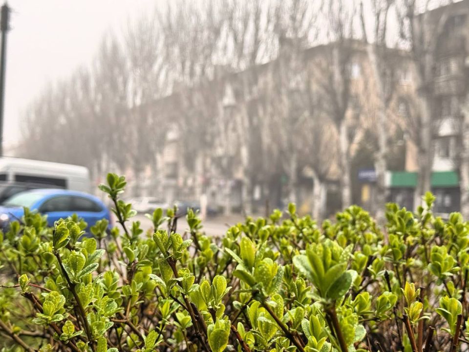 ������ ���� ��������!. �������������� �� ����� ������������� � MAX