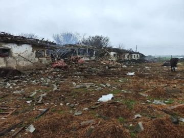 � ���������� ����� �� ����� 10 ������ ��� �� ����� � ����������� ������� ������� 14 �������, ������� ��������