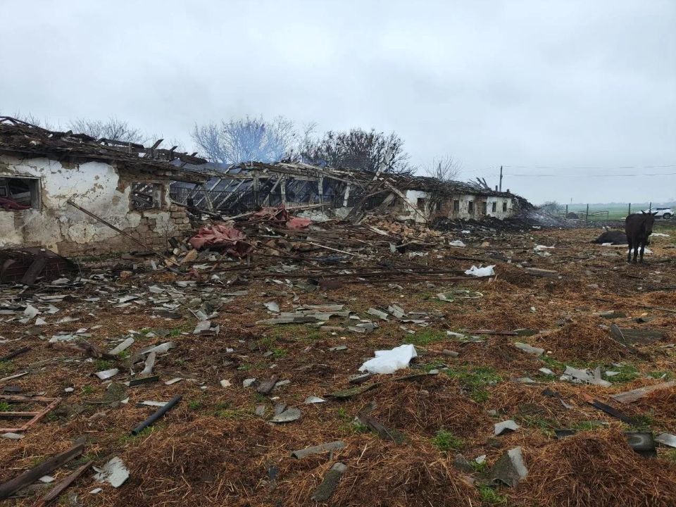 10 ������ ��� ��������� ������ ����� � ����������� �������, ������� 14 �������