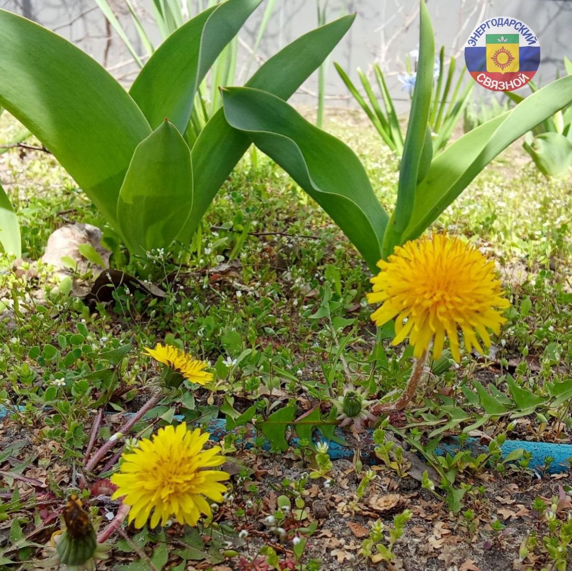 Доброе утро! Весной всегда хочется добрых перемен