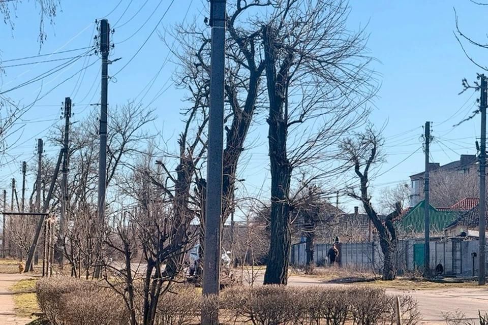 ������ ������� ������� �������: ����� ����� ������ � ����������� ������� 2 ������ 2026 ����