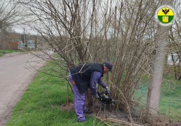 � ������������� �������� ��������� ������������ ��������� �������