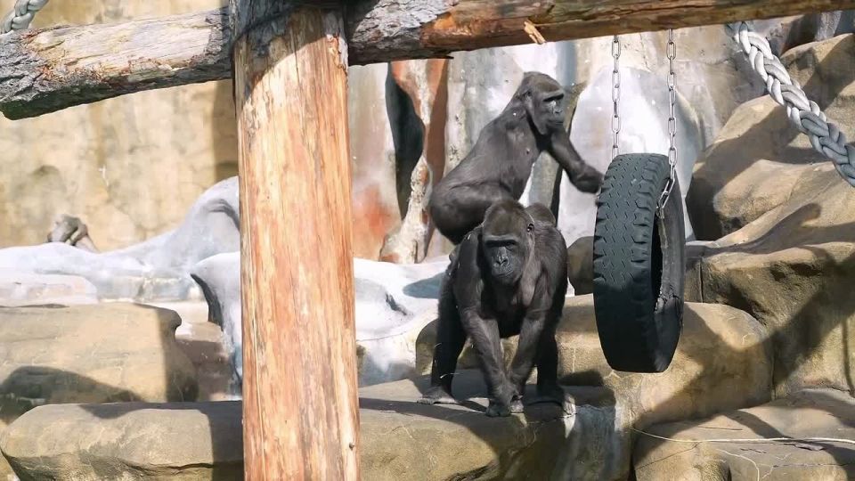 ��������� ������� ������� �� ��������