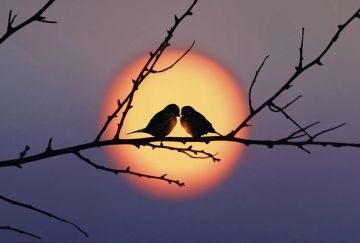 ������ ��� ����!