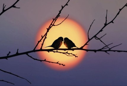 ������ ��� ����!