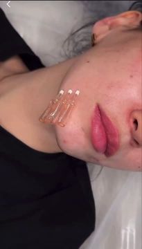 �������� ������������ �������� �������� ���� ���������, �������������, ���������, ����������������