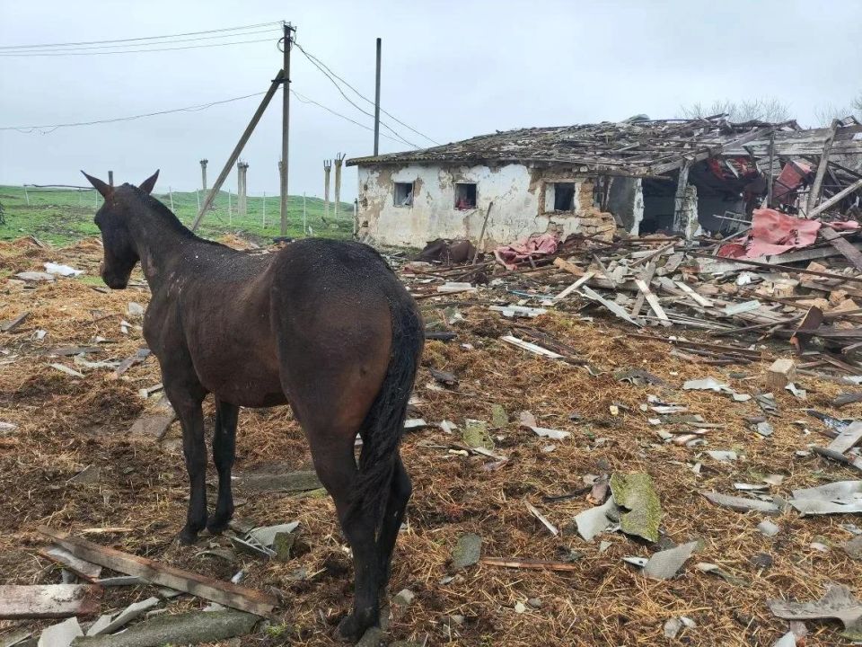 14 ������� ����� � ����������� ������� � ������ �� �������