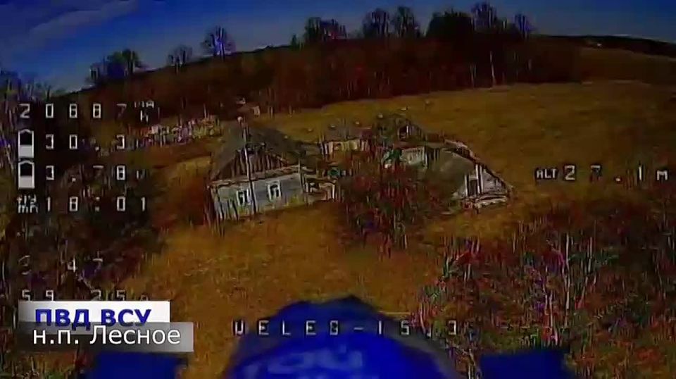 ���������: ����� ������ ���������� ��������� ������� � �������� � ����������� �� ������� �� ����, �� ����!