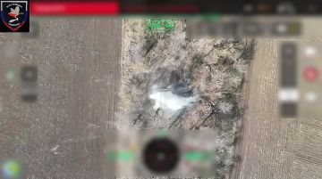 ������ ������ ���������� ����������� ����� "������" �� �� �� �������, ������� �� ��������