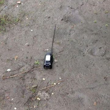 ��������������� �������� ���������� ���������� �� ���������� ������������� ��