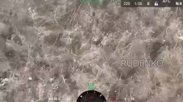 ������ �������: ��������� ������� ���� ����������� ����� ������� ���������� ������� ����� � ������ ������ ��� � ����������� �������