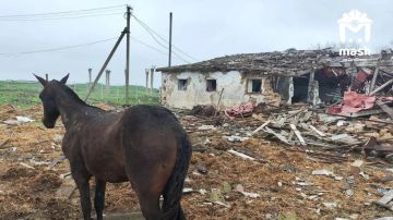 14 ������� ������� �� ������ ����� � ���������� ������ ����� ����� �������������