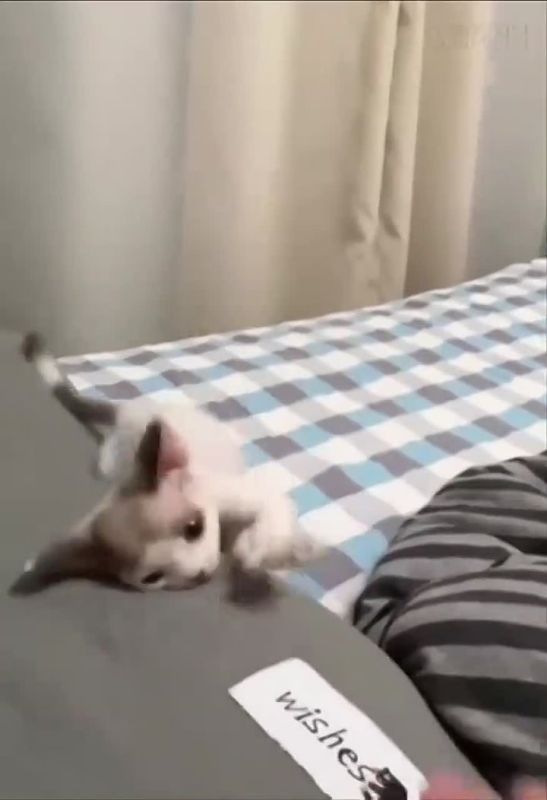 ����� ����. ����� ������� ��������� � ������ ����������� �� ������