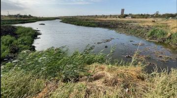 � ����������� ������� ����������� ��������������� ����� �� ����� � ������� ������������