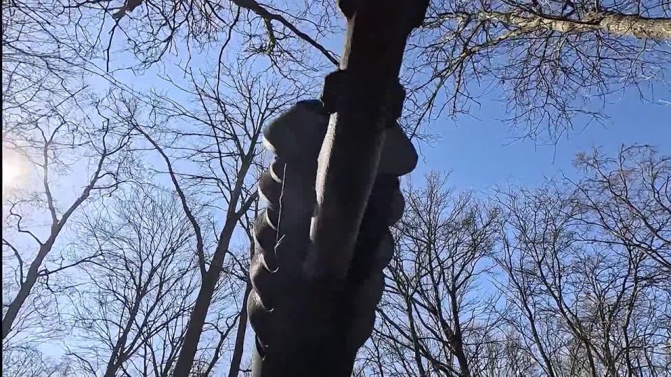 ���������� ������������ ���� � �������