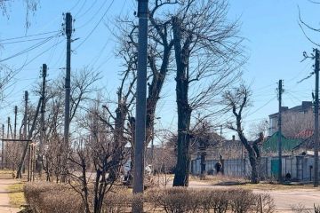 ������ ������� ������� �������: ����� ����� ������ � ����������� ������� 2 ������ 2026 ����