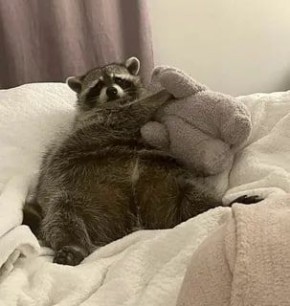 ������ ����, ������� ����������! ������ ����, ���������!