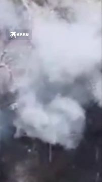 ������ ������� ���������� ���� ��� �������� � ����������� �������