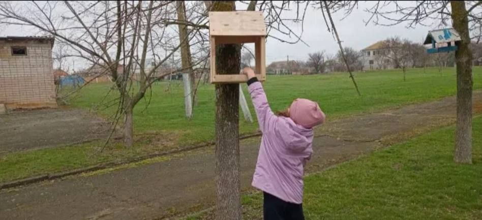 1 ������ - ������������� ���� ����