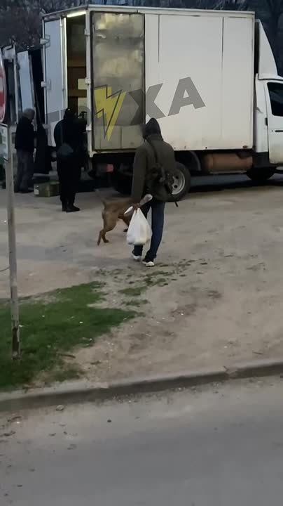 �������� �������� � ��������� �� ������, ��� ����� ���� �����!