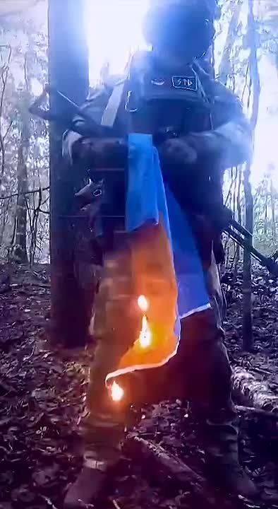 � ��������, ����������� �������!