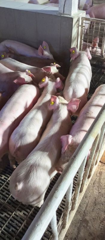 ������ ������ ������� ��� ����������� ������� "������������ �����" � ������������ ������ � ����� �����