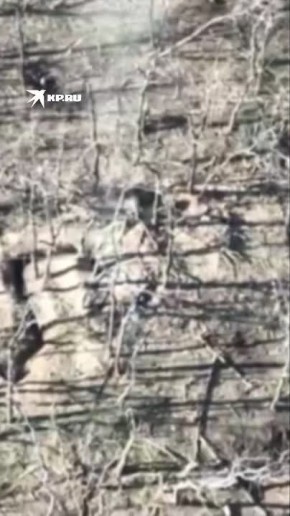 �������� ����������� ����� ���������, ��� ���������� ����� ����� �������