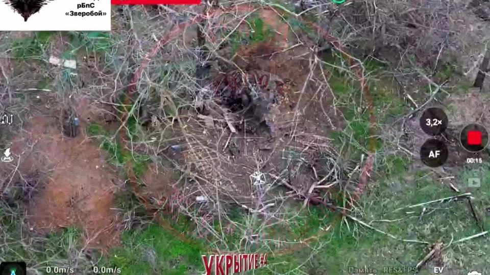 ����������� ����� ���������� �����������