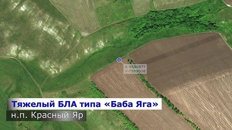 ���������: ������ �������� ������� � ���� � ������ �� �����!