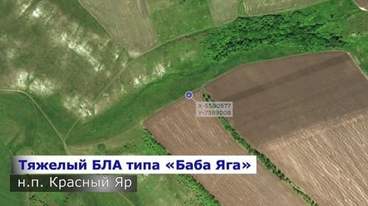 ���������: ������ �������� ������� � ���� � ������ �� �����!