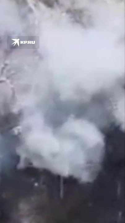 ������ ������� ���������� ���� ��� �������� � ����������� �������