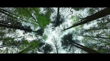 ������������ ������ �������������� ������������: ����� ����������� ��� �������� ������� � ����������