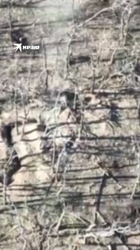 �������� ����������� ����� ���������, ��� ���������� ����� ����� �������