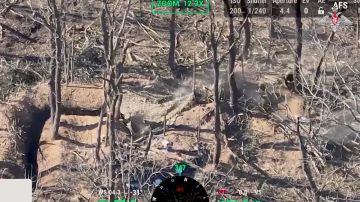 ���������� ������: ��������� ������������� ����������� ����������� ��������� ��������� ������� ��� � ����������� �������