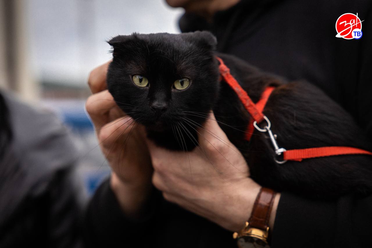 В пункт временного размещения в Запорожской области прибыла очередная группа жителей ДНР В пункт временного размещения в Запорожской области прибыла очередная группа жителей ДНР