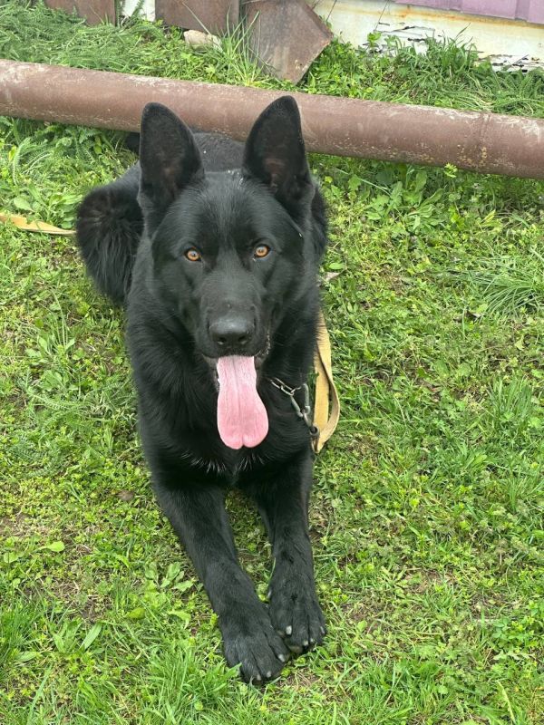 ���������� ������, ������, ��� ����������, �������� ���� � ���� �������� ����� �������