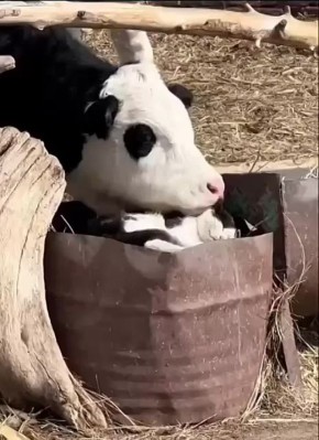 Отдыхаем этот субботний вечер