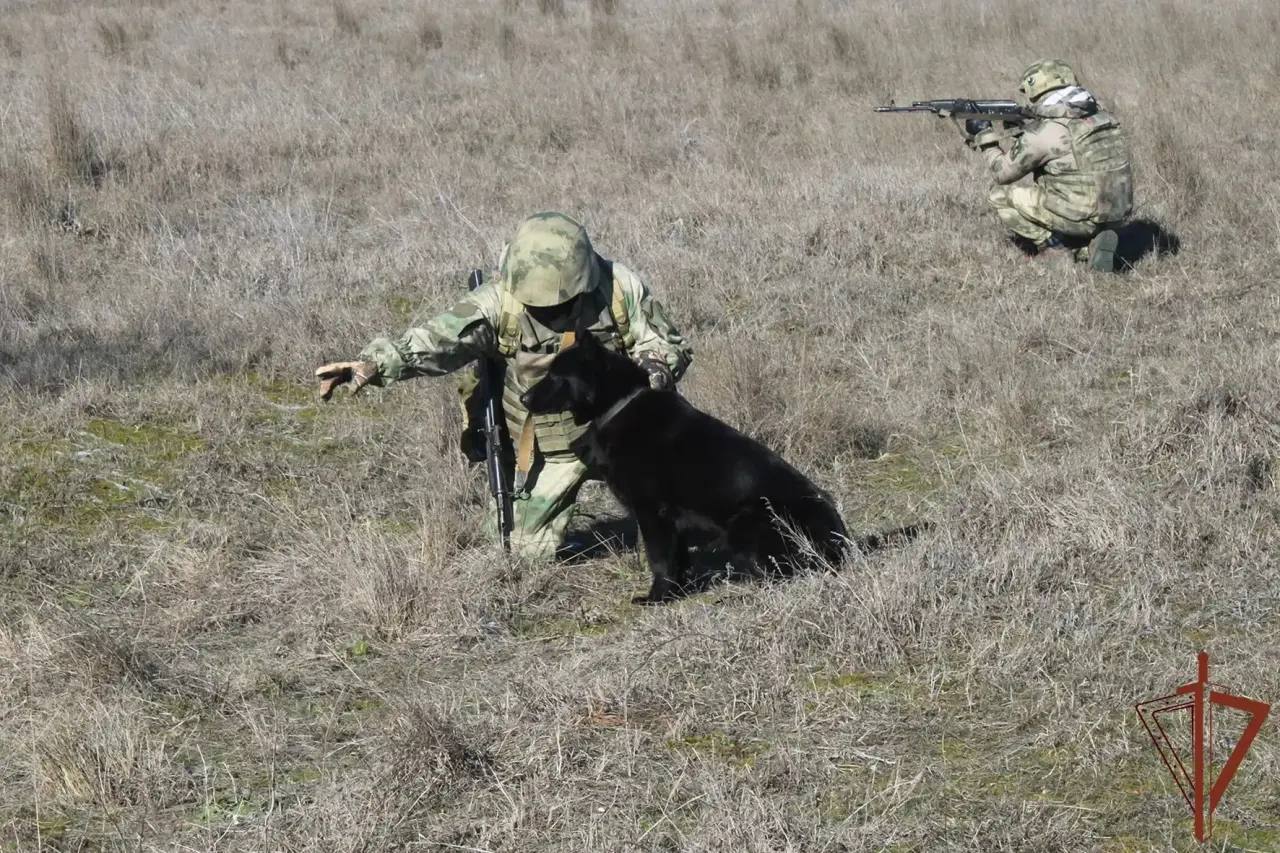 Евгений Балицкий: Саперные группы за месяц обезвредили свыше 2000 взрывоопасных предметов в Запорожской области