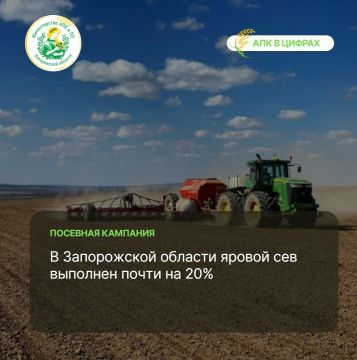 � ����������� ������� ������������ ���������� �������-������� �����