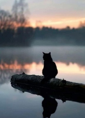 ������ ����!