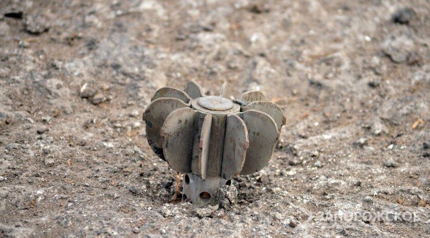 ������������ �� ����� ����������� ����� 2,6 ���