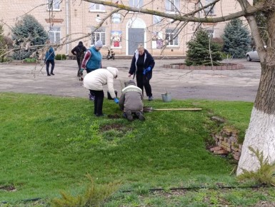 Благоустройство и озеленение территории