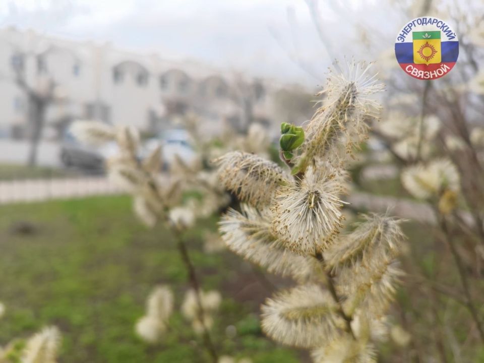 ������ ���� �������� ����� ������������ ����������