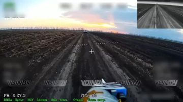 ��������� �������: ������ ������ ���������� ���� 14 ����������� ������� �������� �� "������" �� ����������� �����������